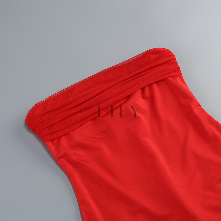 Naomi Muse Halter Mesh Mini Dress