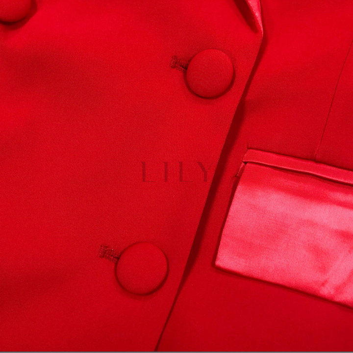 Scarlet Silk Lapelled Satin Blazer Dress