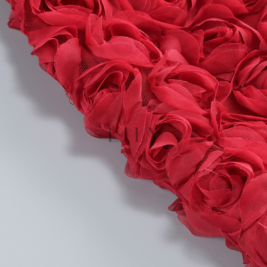 Floral Rose appliqués Backless Mini Dress