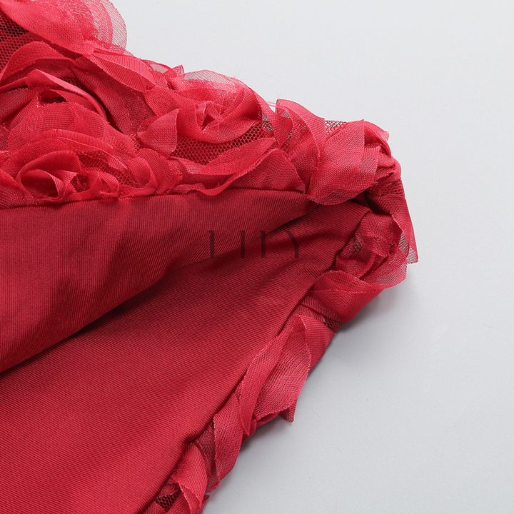 Floral Rose appliqués Backless Mini Dress