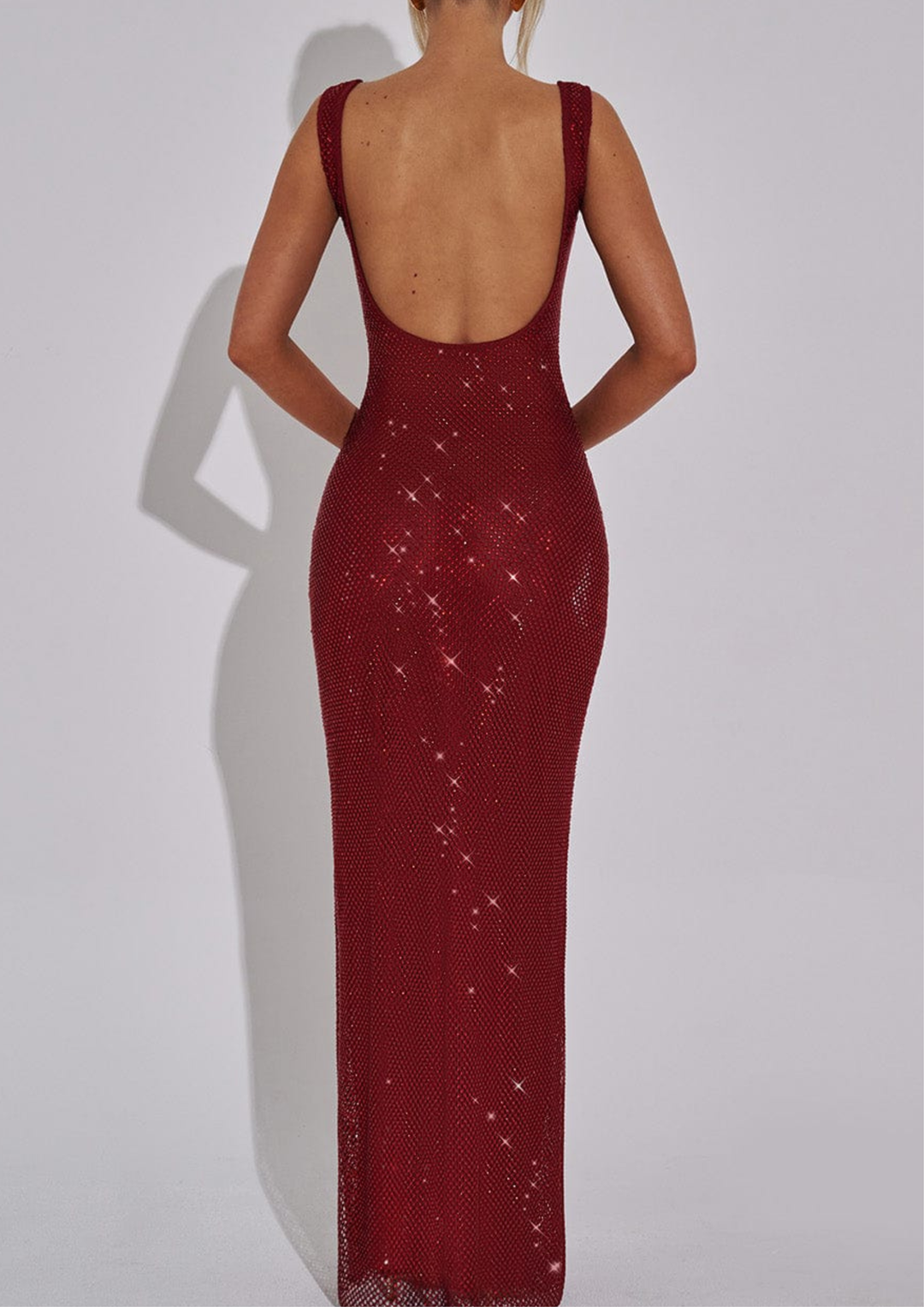 Amara Sparkle Backless Mesh Maxi Dress