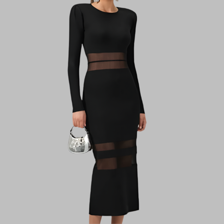 Chic Sheer Maxi Dress